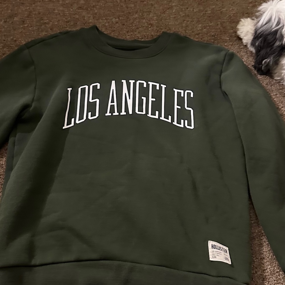 Hollister crewneck